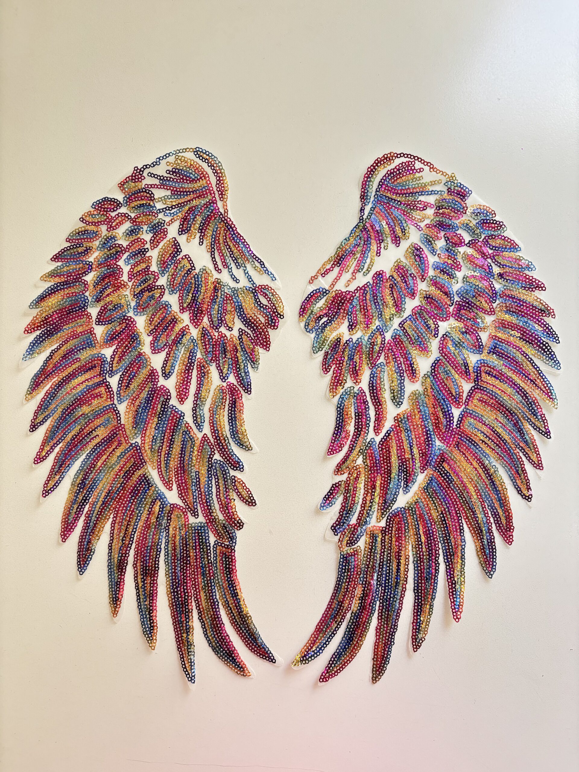 Alitas grandes de colores - Imagen 2